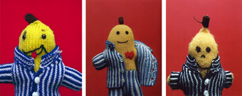David Wills,  B3, 18 images of handknitted Bananas in Pyjamas found in Op shops, garage sales and markets