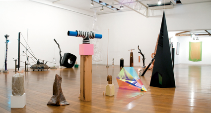 Mikala Dwyer, Outfield 2009
Installation view, Roslyn Oxley9 Gallery, Sydney