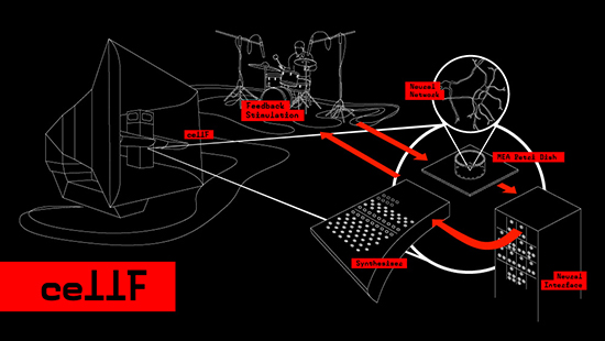 cellF system diagram, Guy Ben-Ary & collaborators